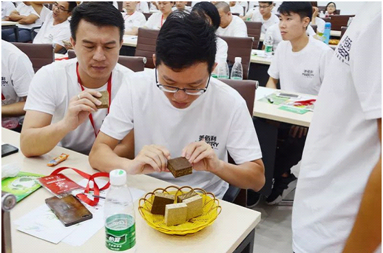 全纪录：走进华洲木业，零距离体验安醛时代(图10)